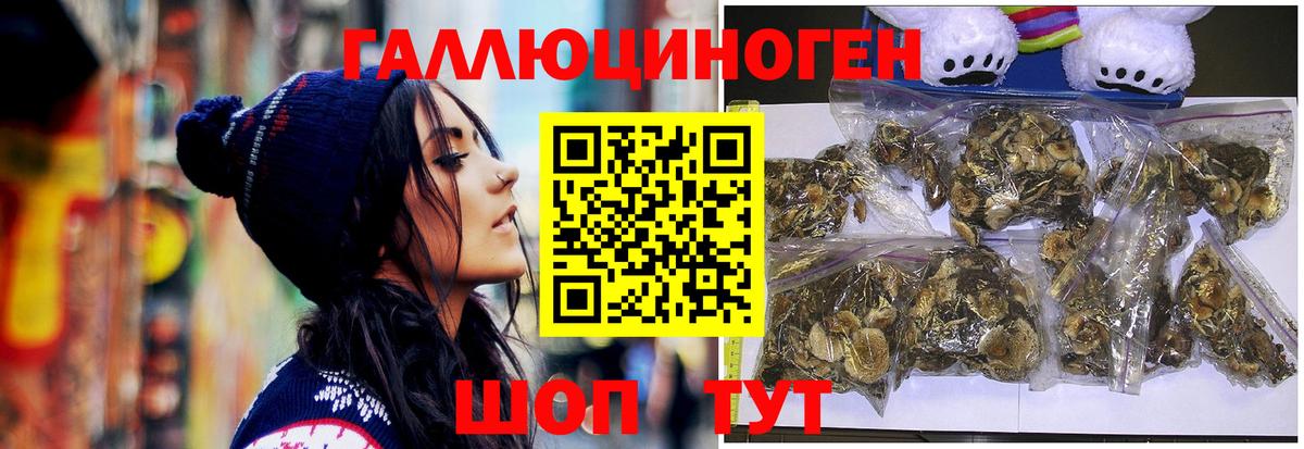 Галлюциногенные грибы Psilocybe Жуковский
