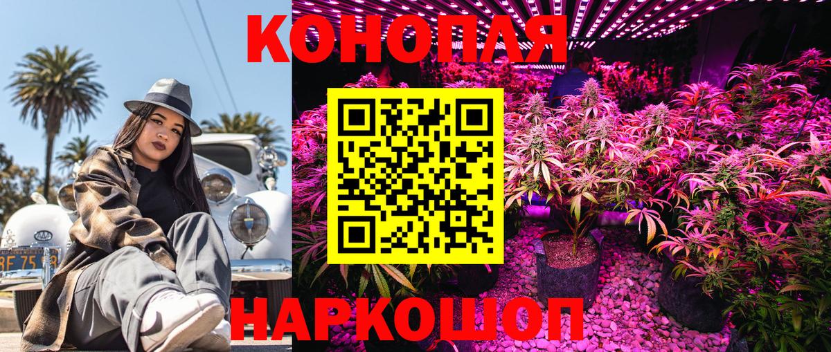 Конопля конопля Жуковский